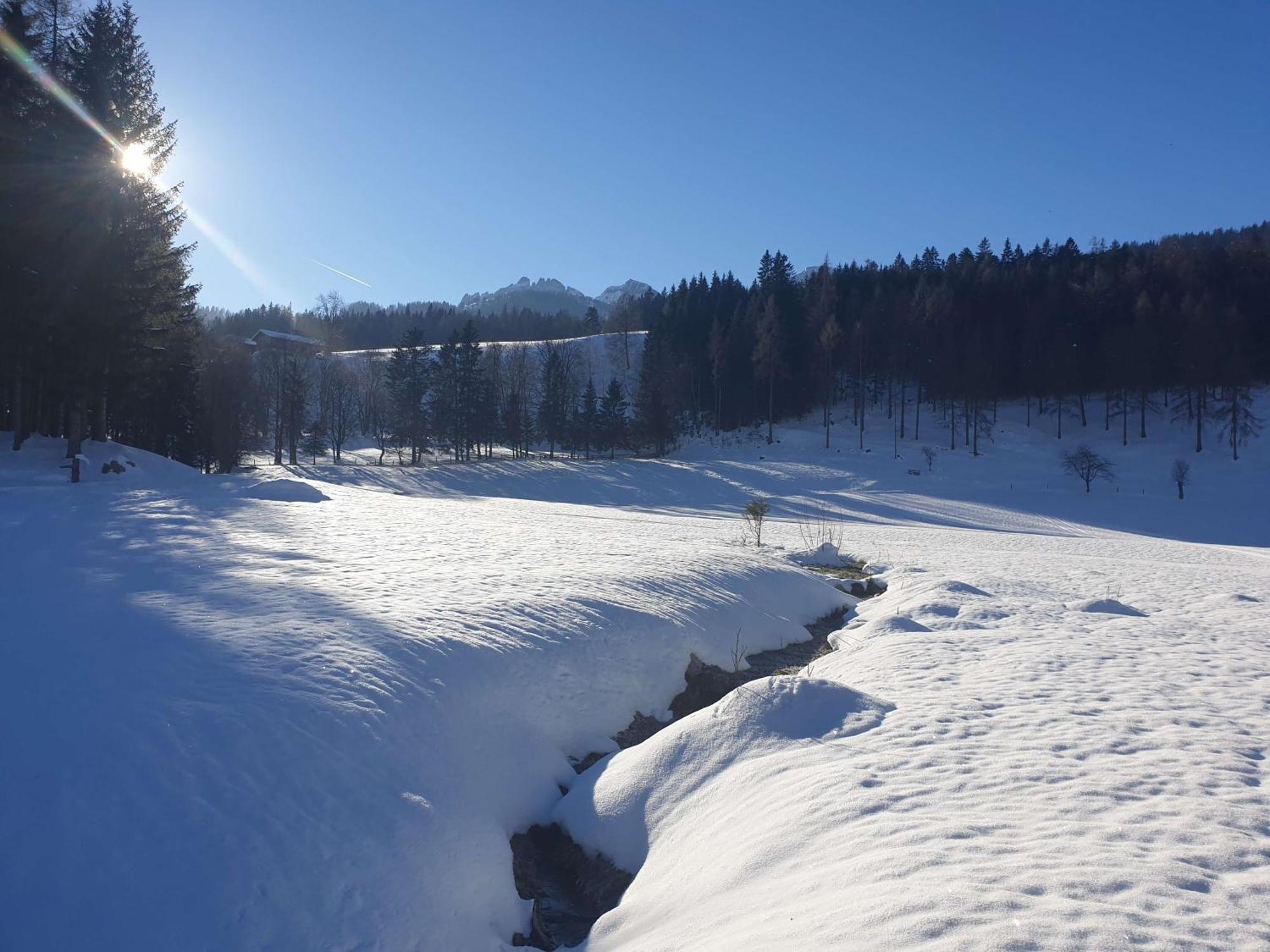 Mountain Residence Riesgut Werfen Exterior photo