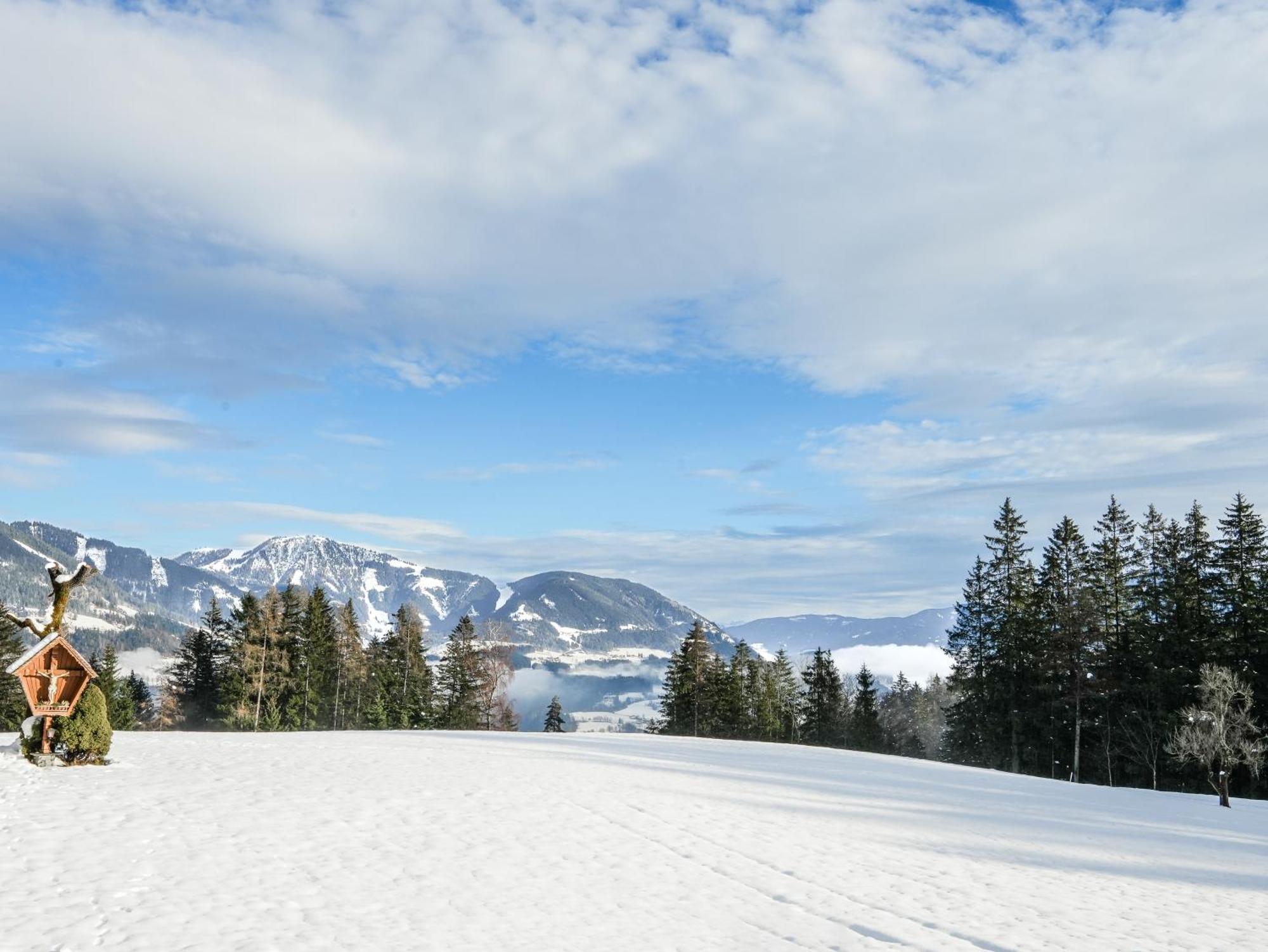 Mountain Residence Riesgut Werfen Exterior photo