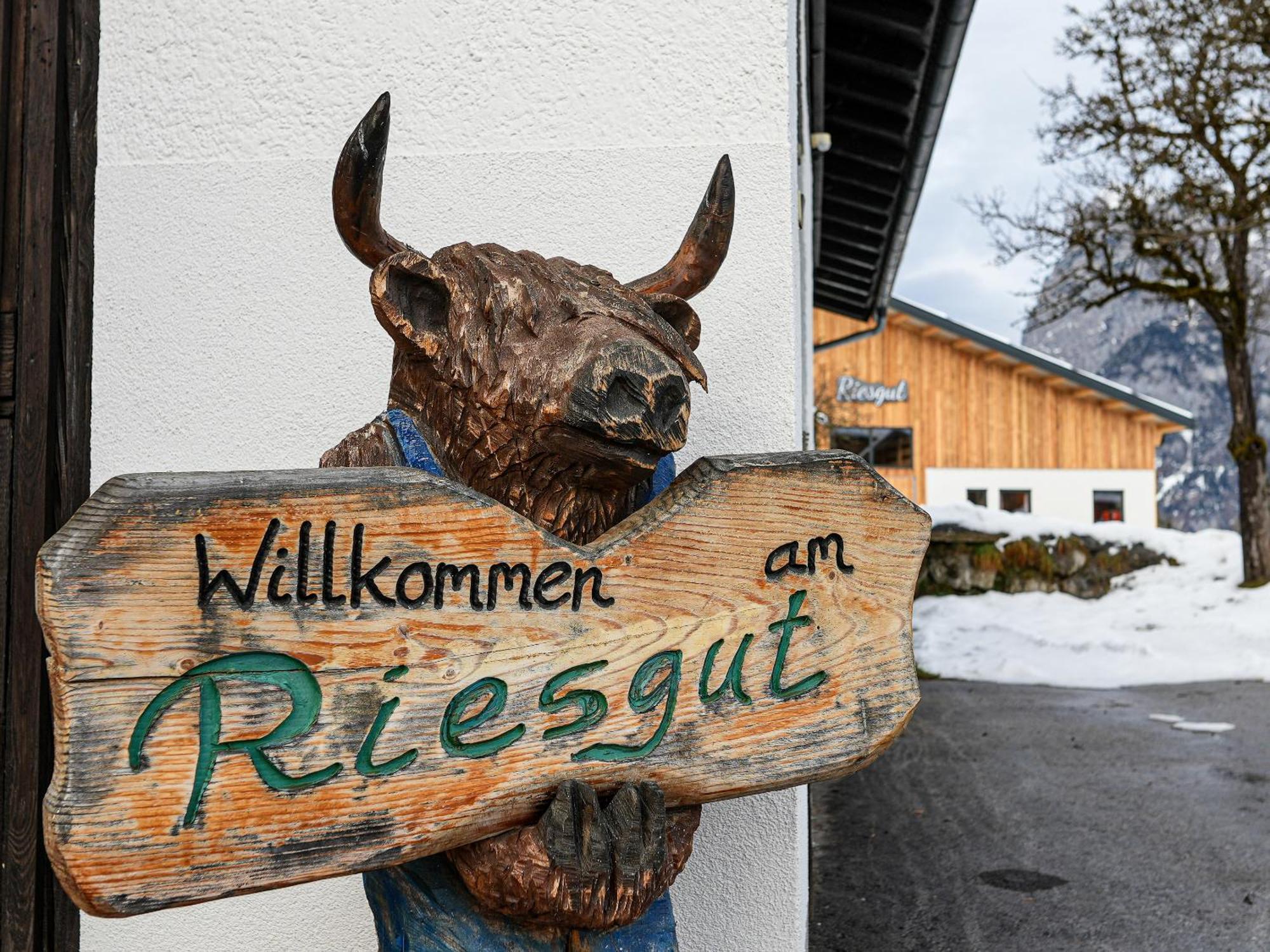 Mountain Residence Riesgut Werfen Exterior photo